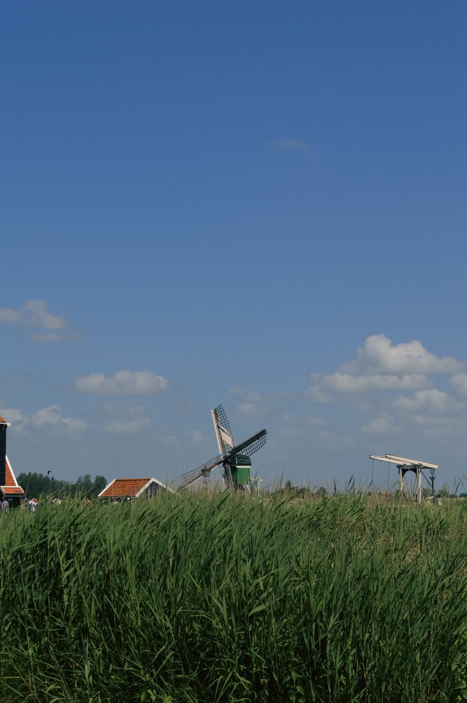 Traditional windmill above green fields by Neda Kekil on Pexels