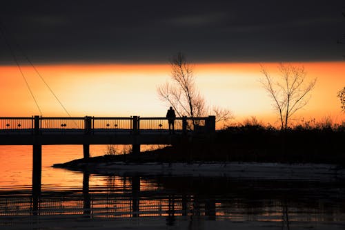 Безкоштовне стокове фото на тему «вода, з підсвіткою, Захід сонця»