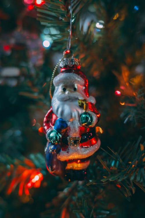 Ornament on Christmas Tree