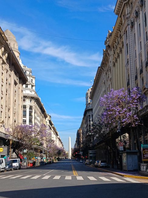 ¿Cuál es la Mejor Época para Viajar a Buenos Aires con Niños? Guía 2025