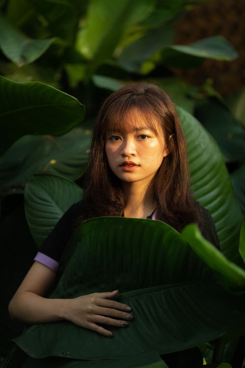 Free A serene portrait of an Asian woman standing among large green leaves, exuding a peaceful natural ambiance. Stock Photo