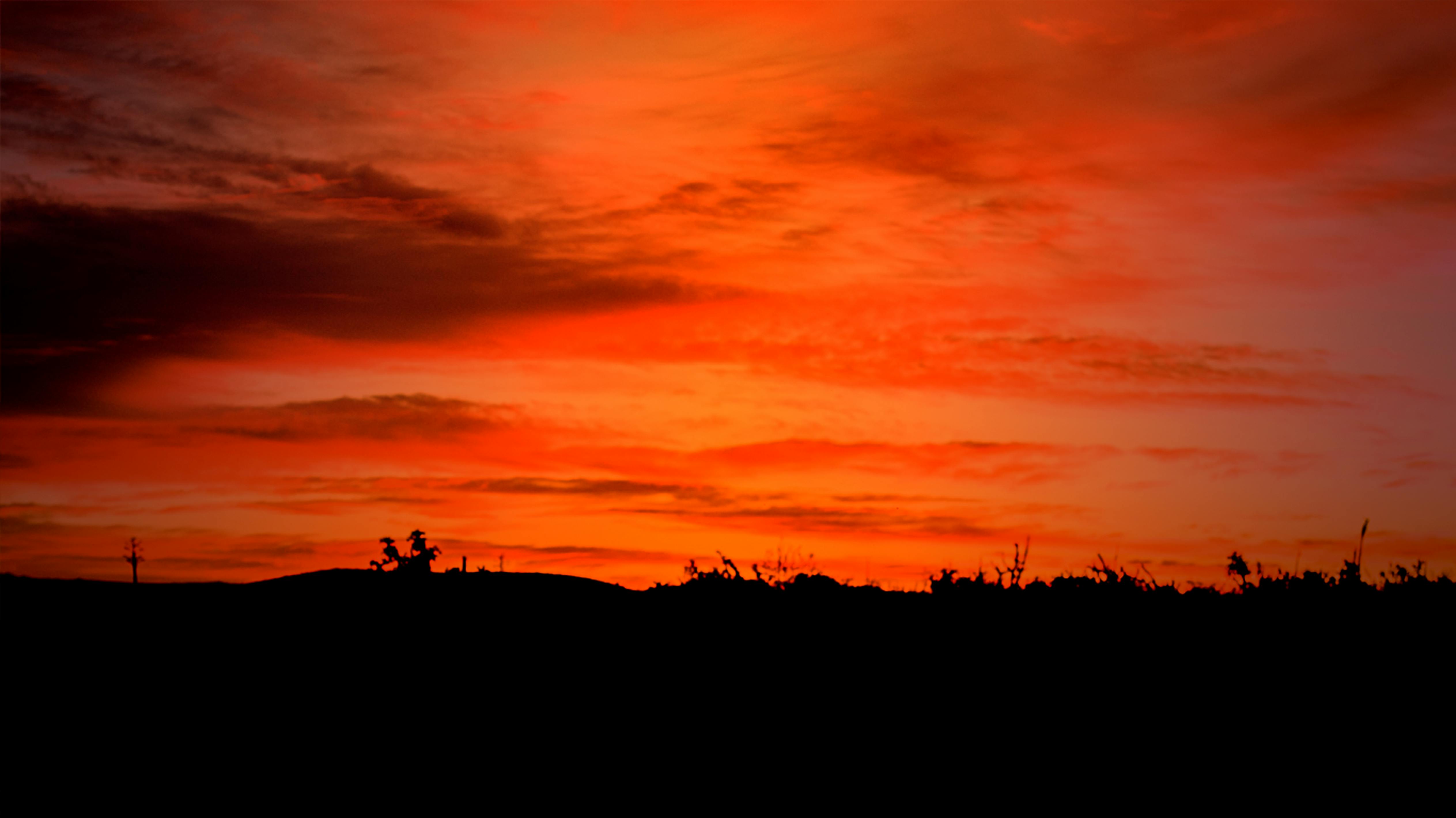 オレンジ色の空 夜明け 砂漠の無料の写真素材