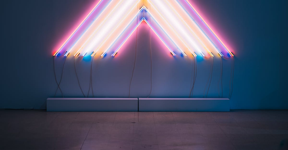 中港河廊光雕展玩轉光影 榮獲兩項國際大獎