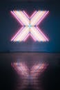Letter X Neon Signage