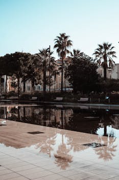 城市景观风景优美，棕榈树在日光下倒映于水景之中