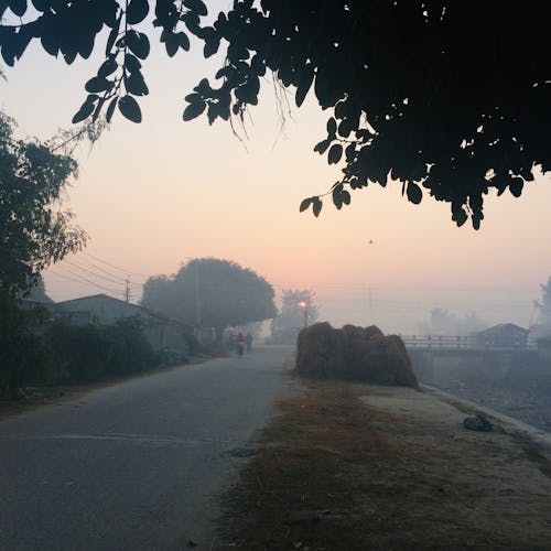 Nepali Village Morning Sun