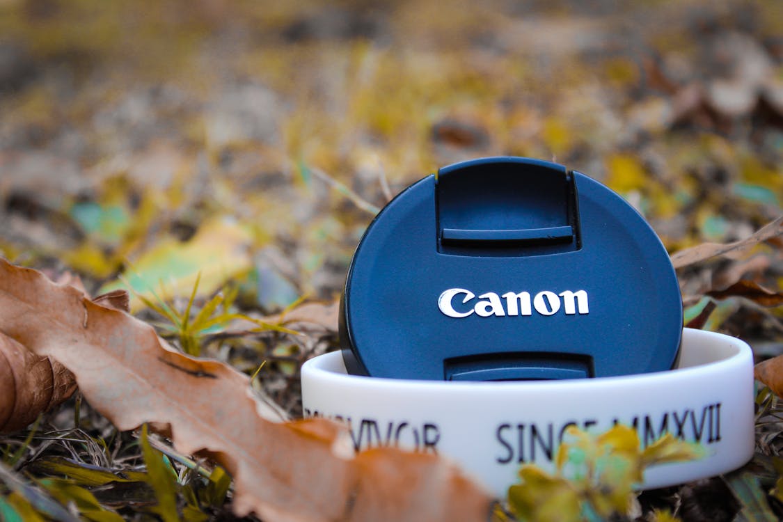 Free stock photo of canon, canonphotography Stock Photo