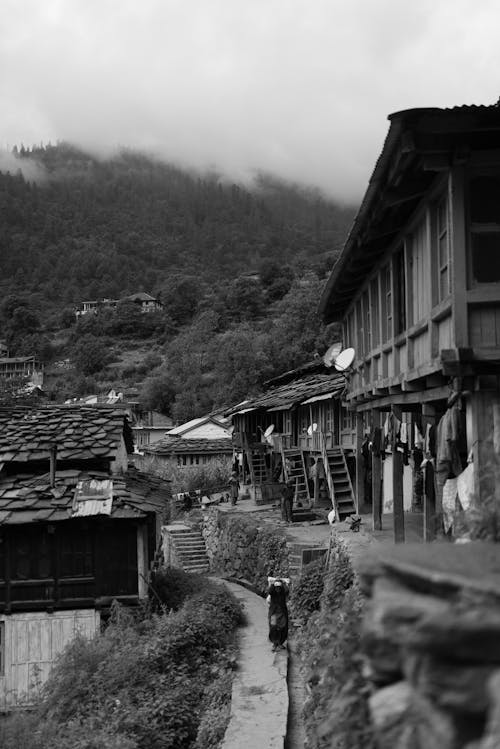 Foto profissional grátis de aldeia de montanha, himachal pradesh, vida rural