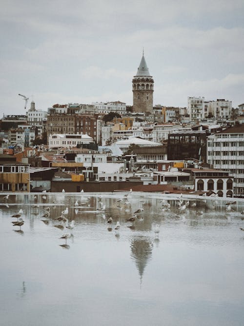 イスタンブール, ガラタ塔, ボスポラス海峡の無料の写真素材