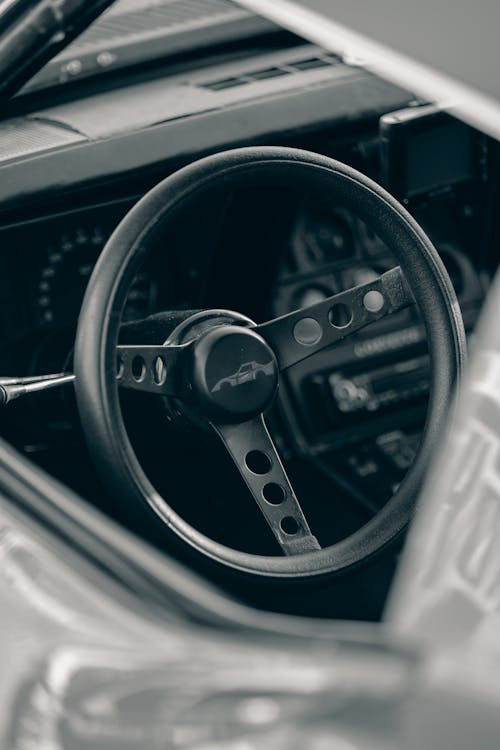 Car Steering Wheel in Black and White