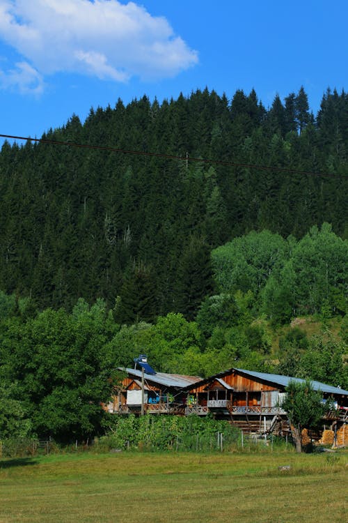 Photos gratuites de bois, nature, vue sur la montagne