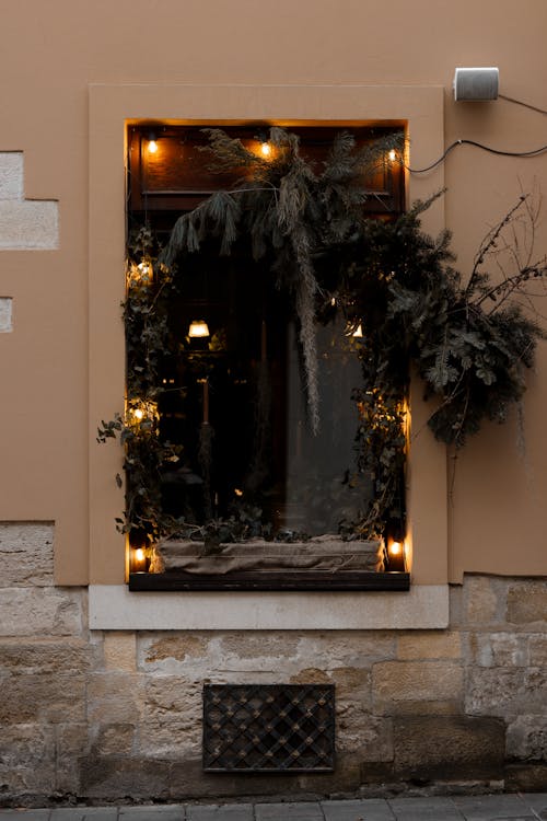 Lights and Plant in Building Wall