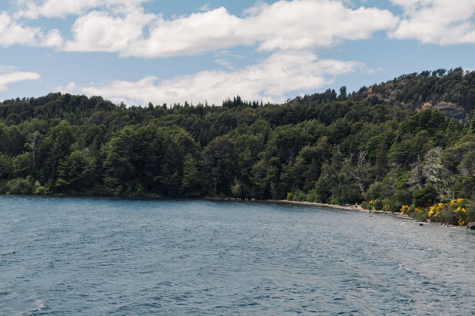Tranquil lake and lush forest scenery in San Carlos de Bariloche, Argentina.