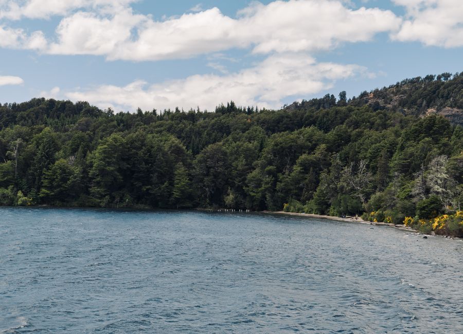 Tranquil lake and lush forest scenery in San Carlos de Bariloche, Argentina.