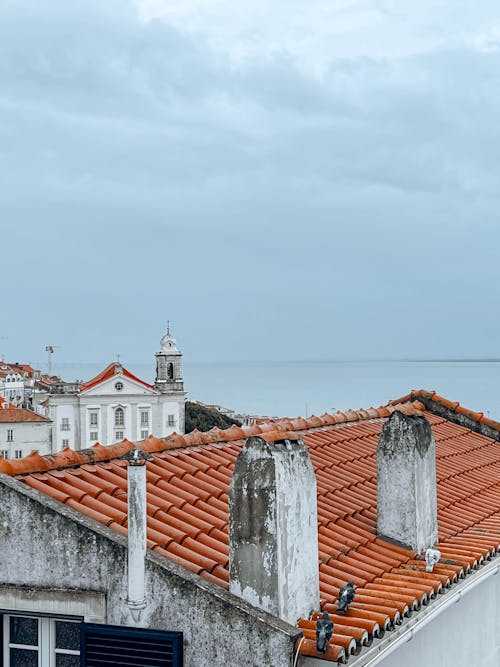 Pigeons on a Tiled Roof with a Cloudy Sky over the Sea in the Background