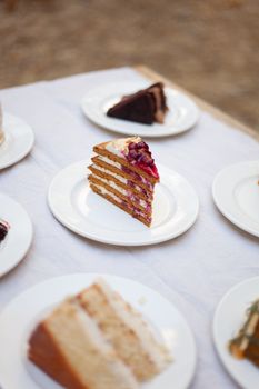 Delicious slices of various cakes presented elegantly on white plates outdoor setting.