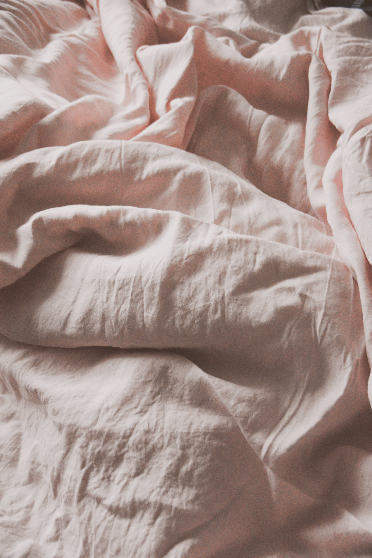 Pink Sheet Photos, Download The BEST Free Pink Sheet Stock Photos & HD ...