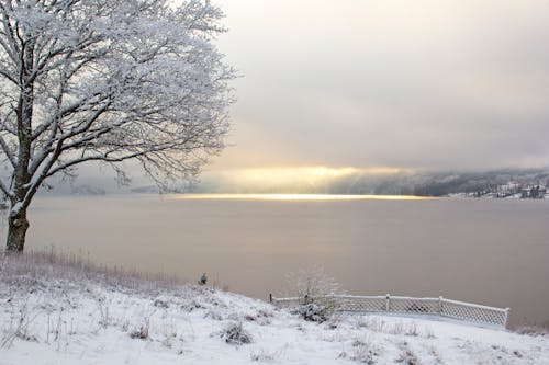 Ilmainen kuvapankkikuva tunnisteilla auringonvalo, eteerinen, järvi