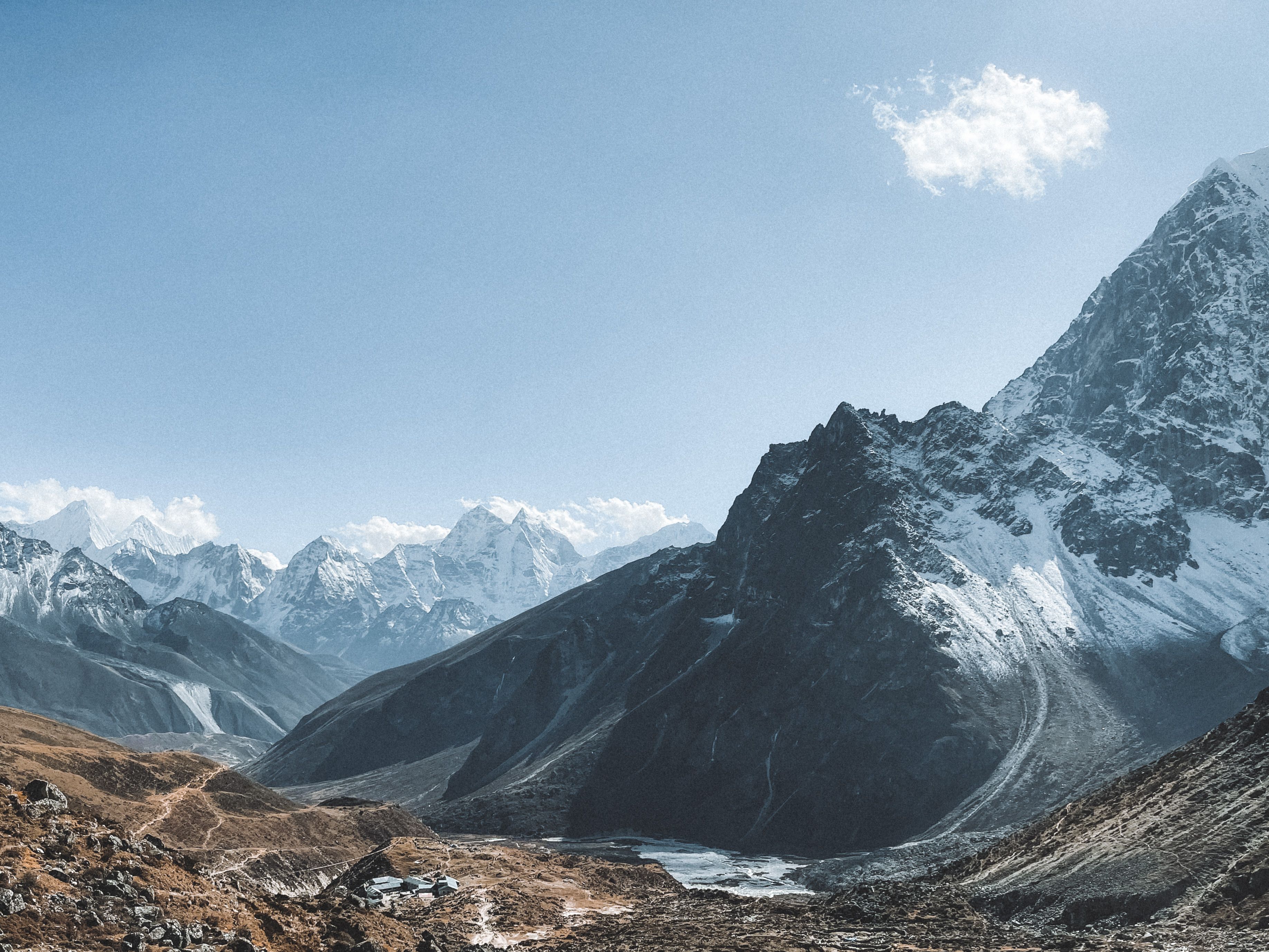 टिन्जुरे–मिल्के–जलजले क्षेत्रमा लालीगुराँस फुल्न थाले, पर्यटकको आकर्षण बढ्दो