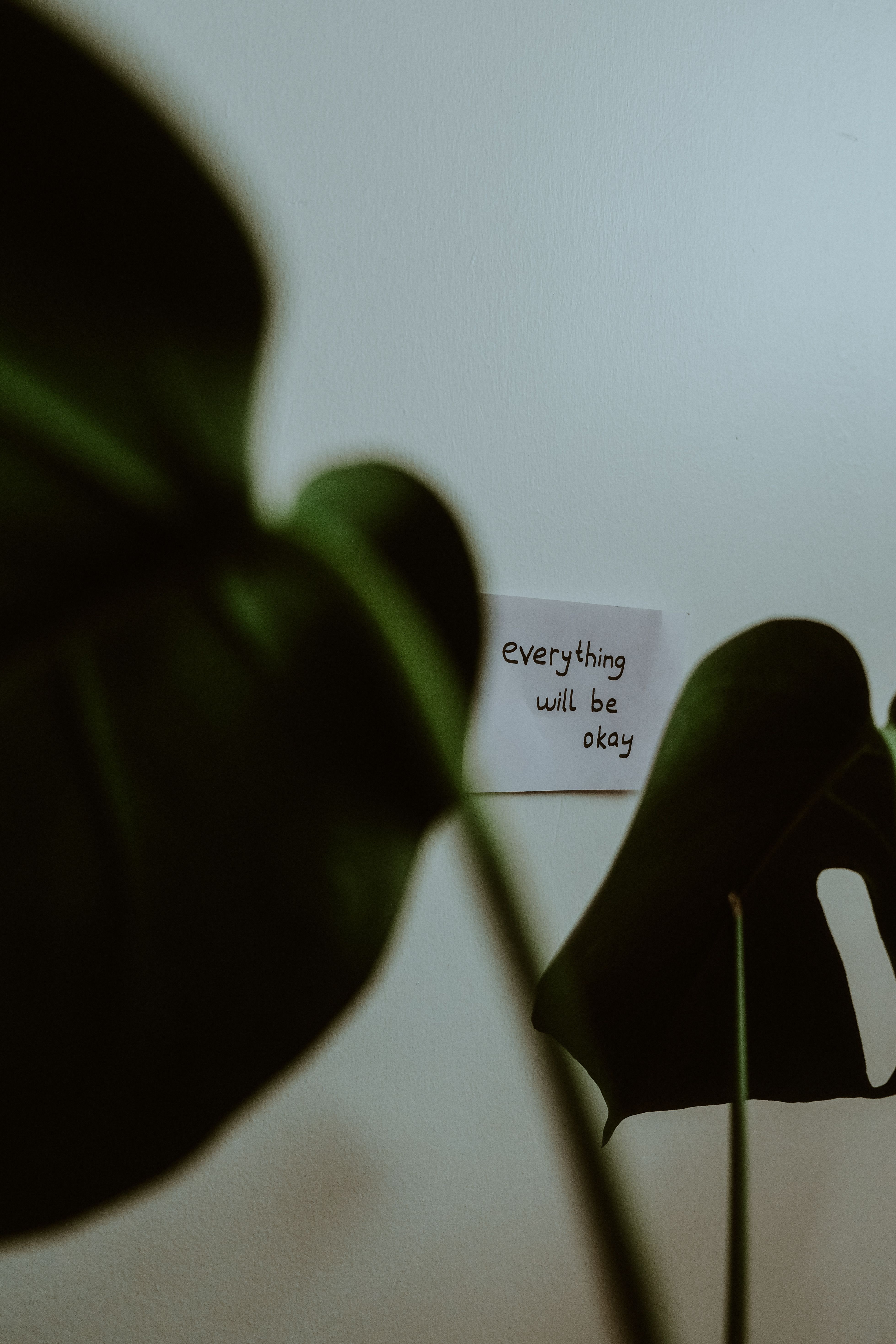 A tranquil minimalist scene featuring monstera leaves and a motivational note on a white wall.