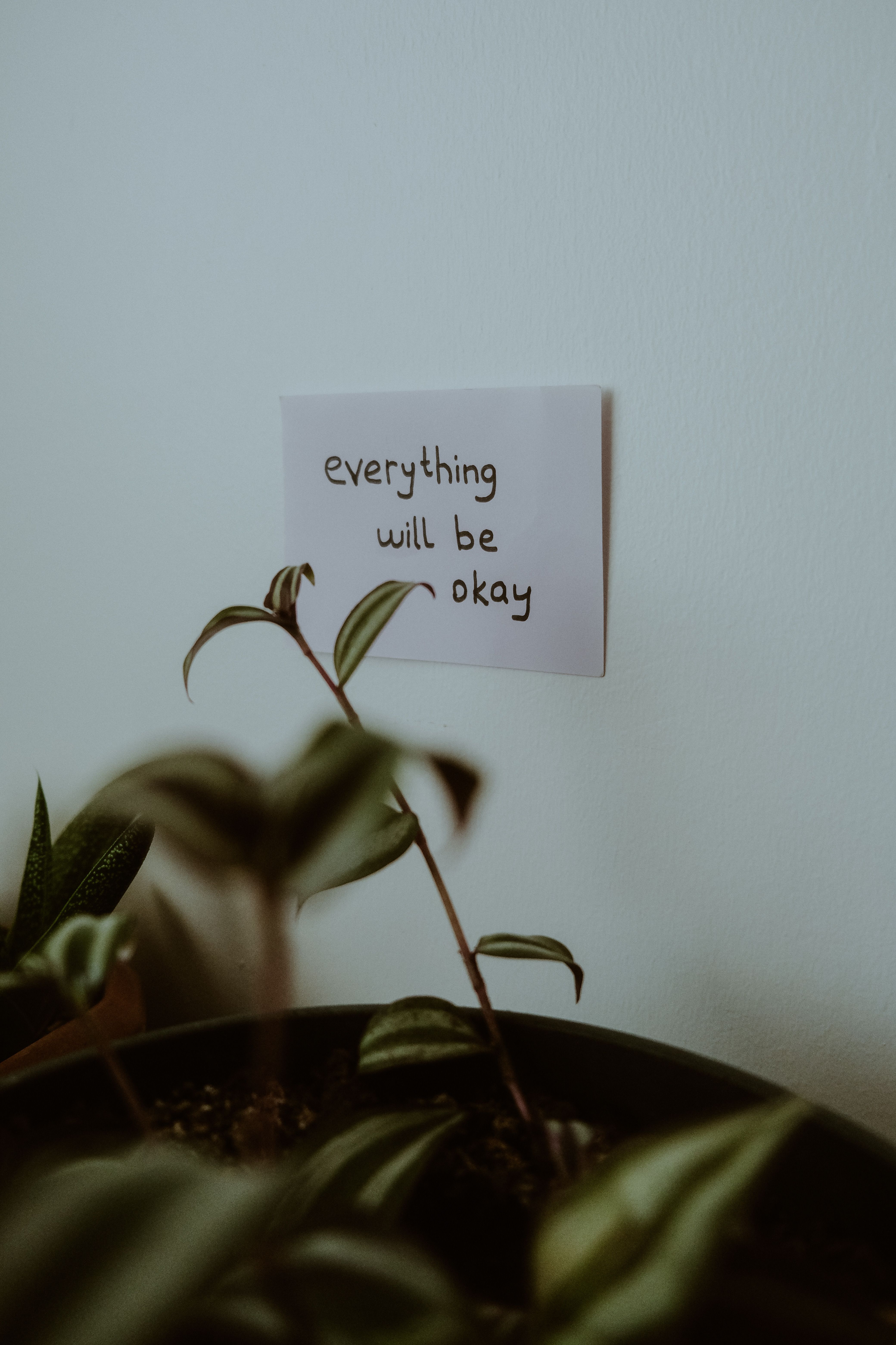 It S Okay To Say No