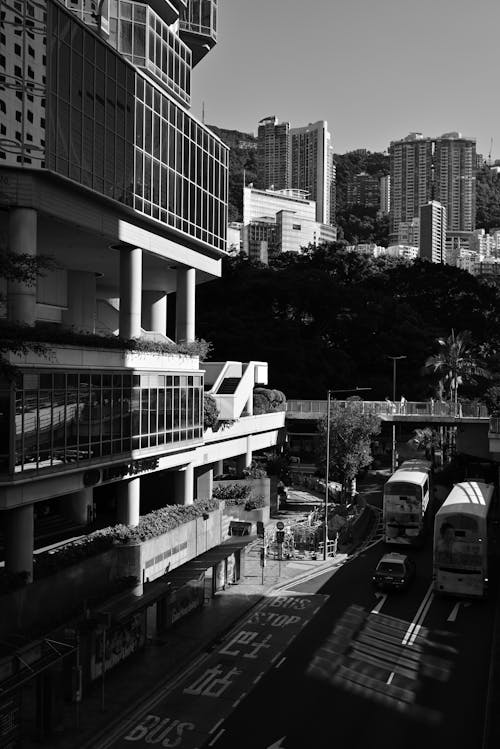 Skyscrapers in a City in Black and White 