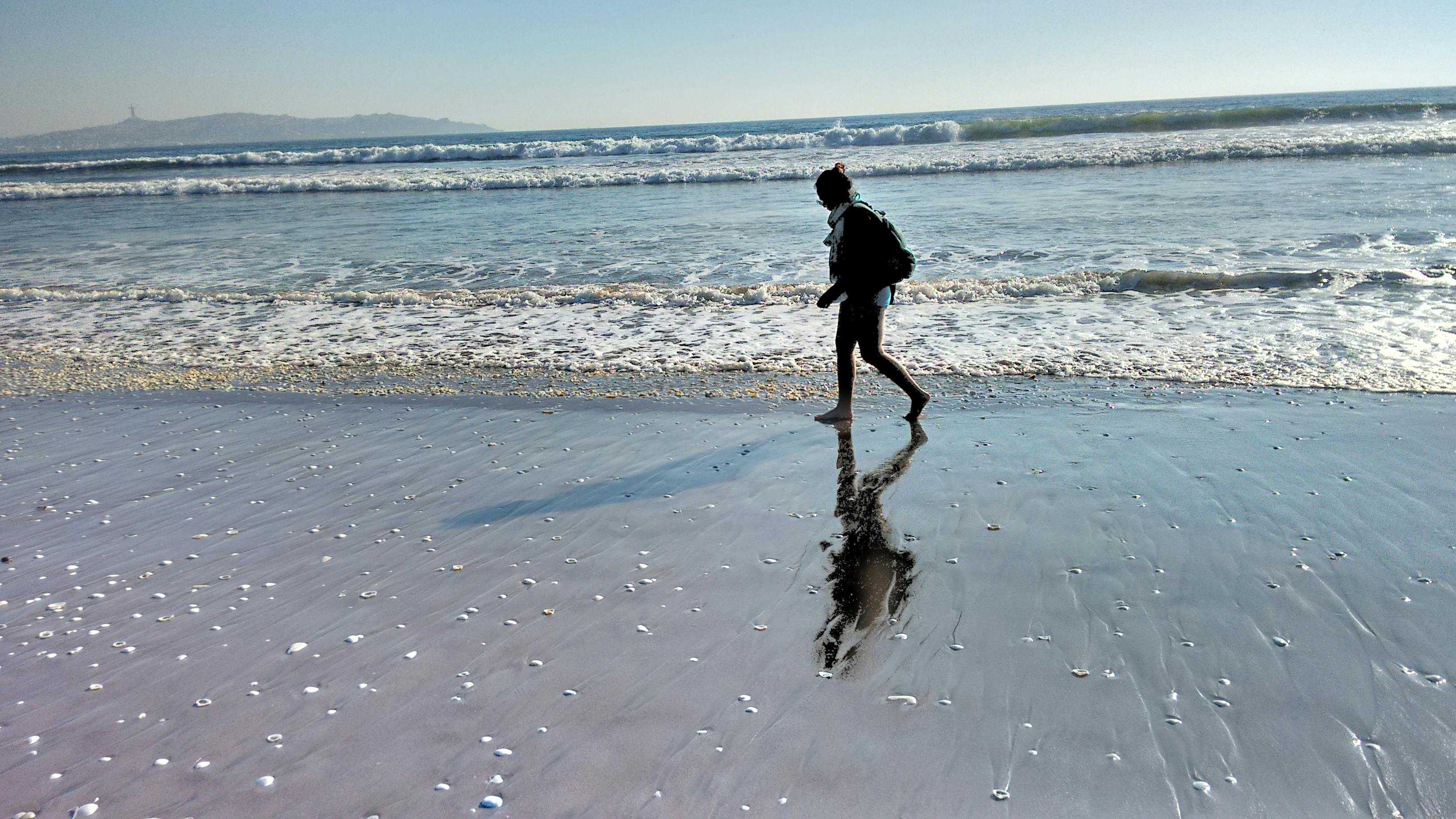 Kostenloses Foto Zum Thema Meer Ozean Profil