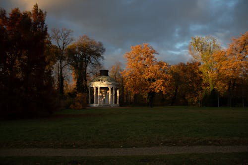 Foto d'estoc gratuïta de arbre de tardor, autmn, fons de l'arbre