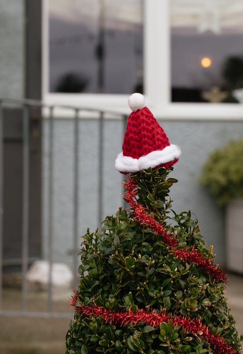 Santa Hat on a Tree 