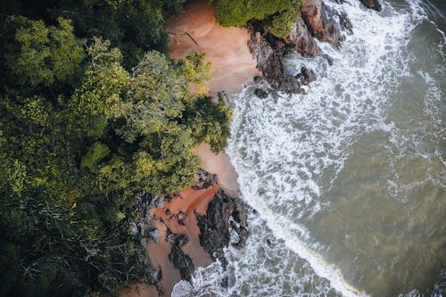 ağaçlar, deniz, hava fotoğrafçılığı içeren Ücretsiz stok fotoğraf