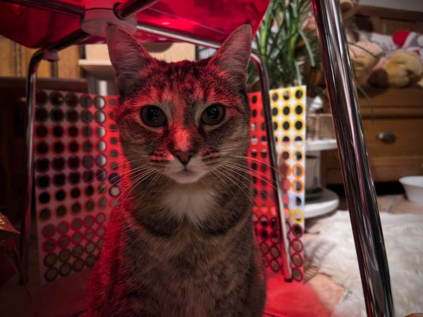 Face of red