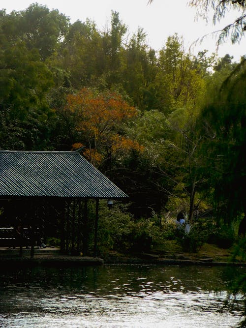 A Construction with a Roof near a Body of Water and Trees