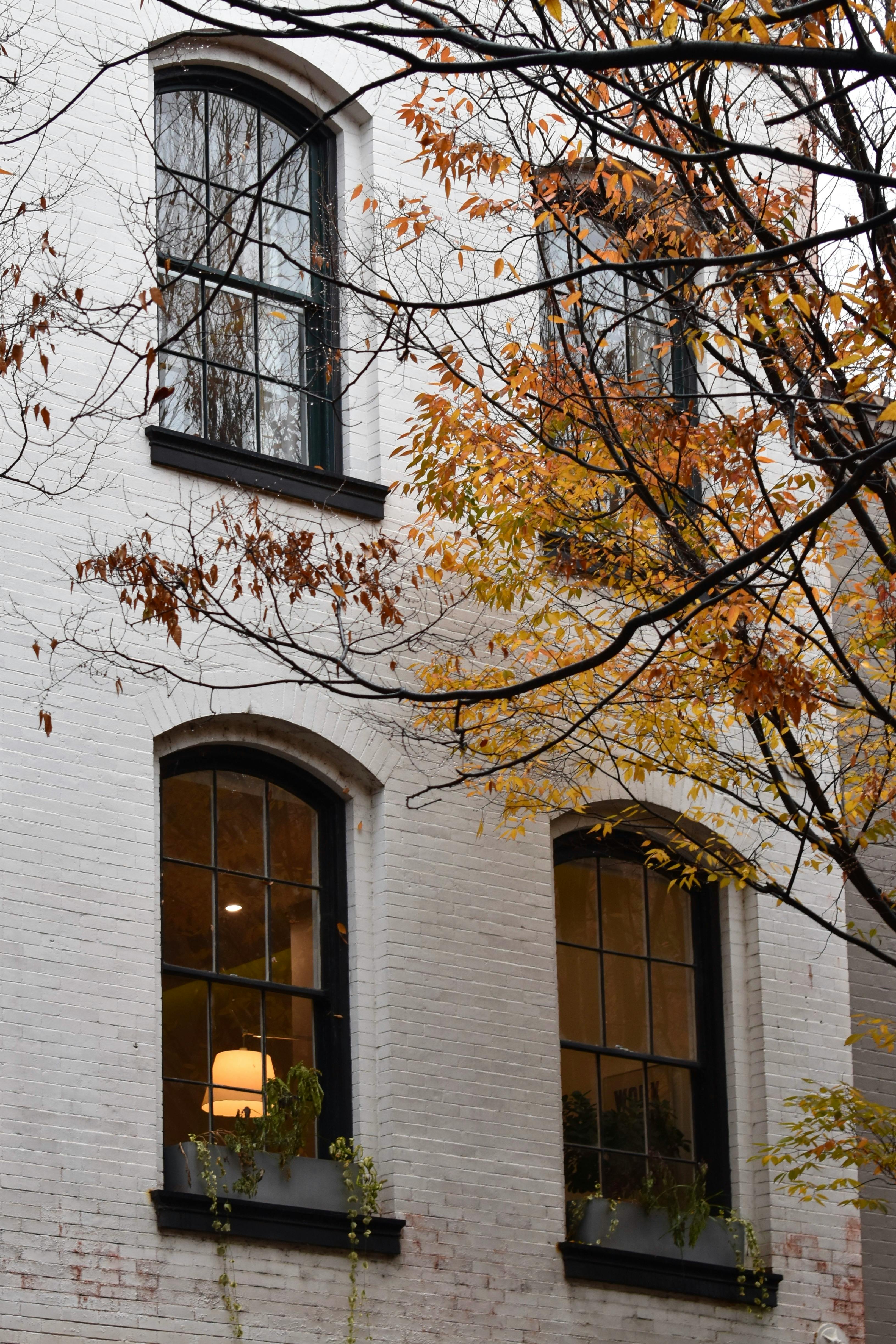 A cozy city building facade with autumn leaves and warm window light, creating a serene urban atmosphere.