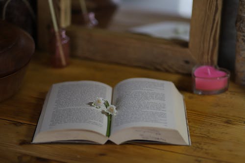 Close-up of Flowers Lying on an Open Book 