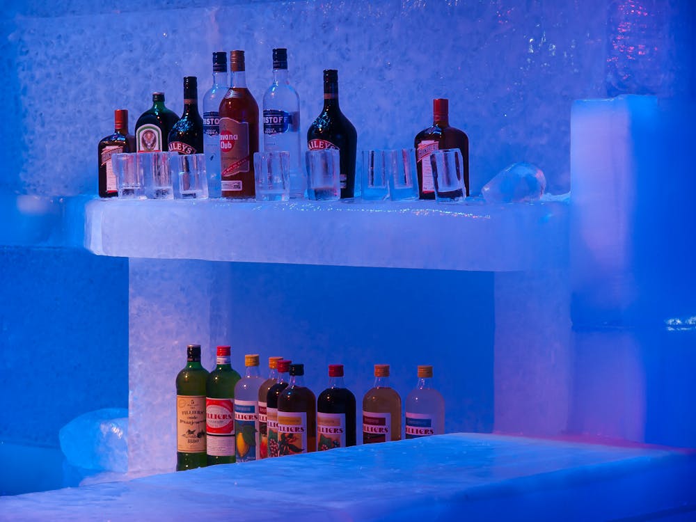 Amsterdam Ice Bar, Places to visit in Amsterdam in July