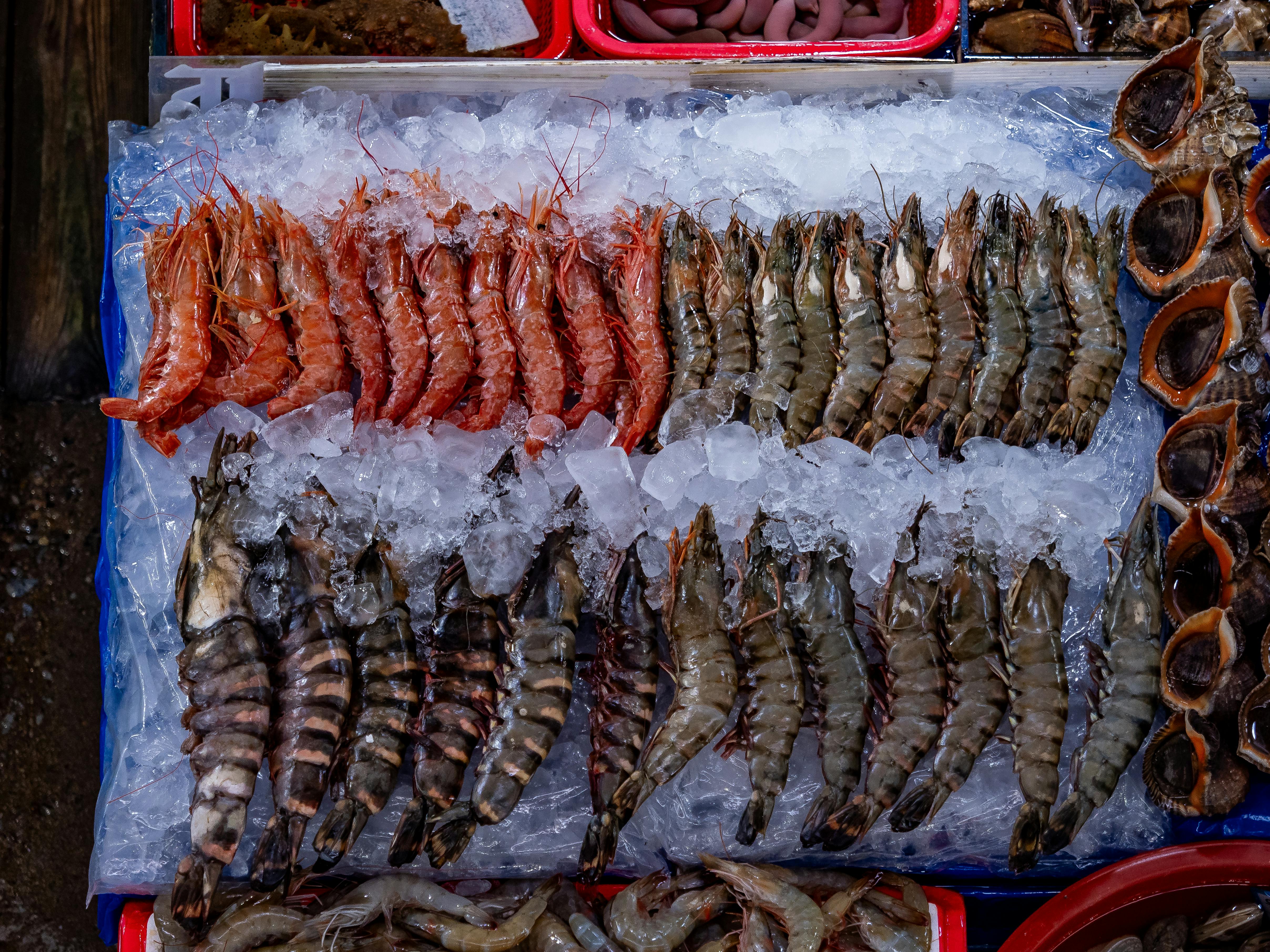 Colorful assortment of fresh seafood on ice at a Seoul fish market stall, showcasing various shrimps and shellfish.