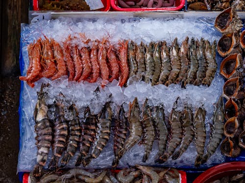 Foto profissional grátis de ação, camarões, comida coreana