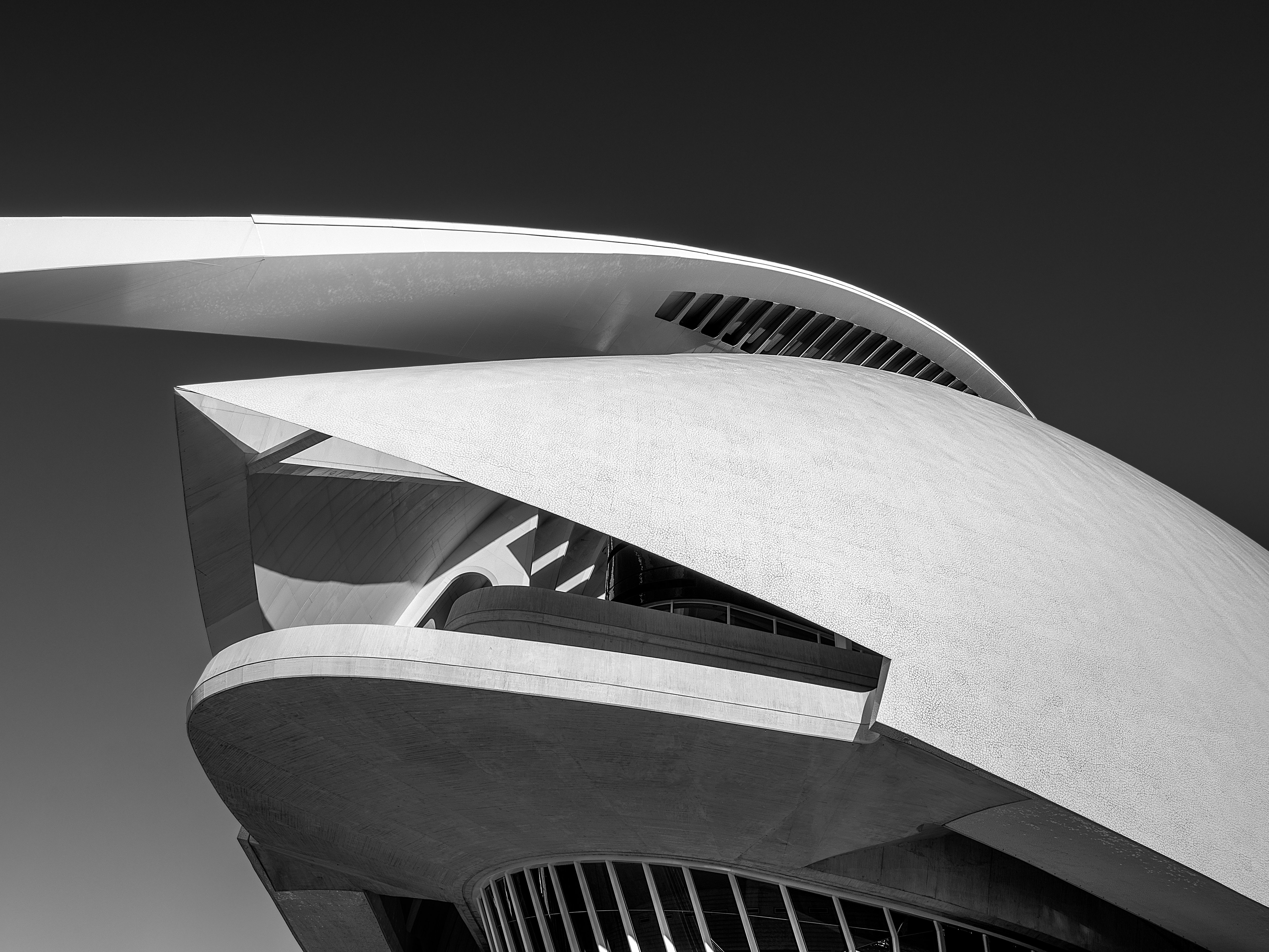 Black and white architectural shot of the Queen Sofía Palace of the Arts in Valencia, Spain.
