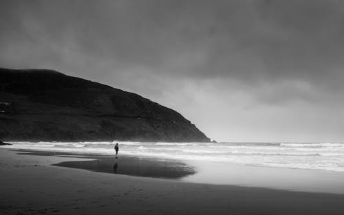 Foto d'estoc gratuïta de blanc i negre, home, litoral