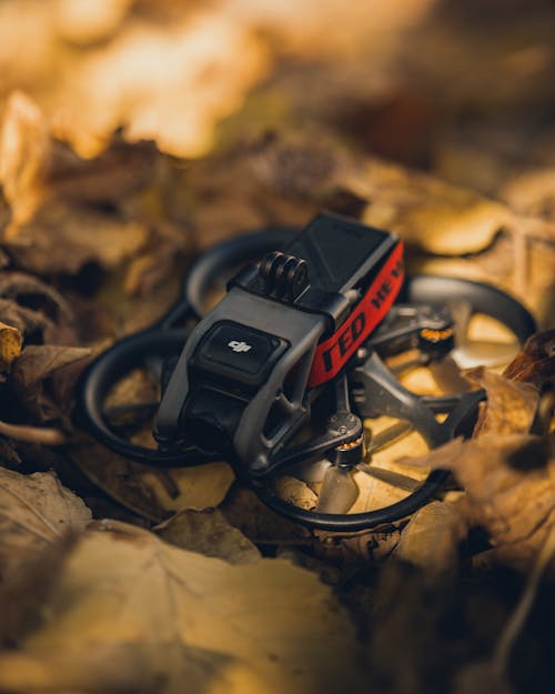 Drone Among Leaves in Autumn 