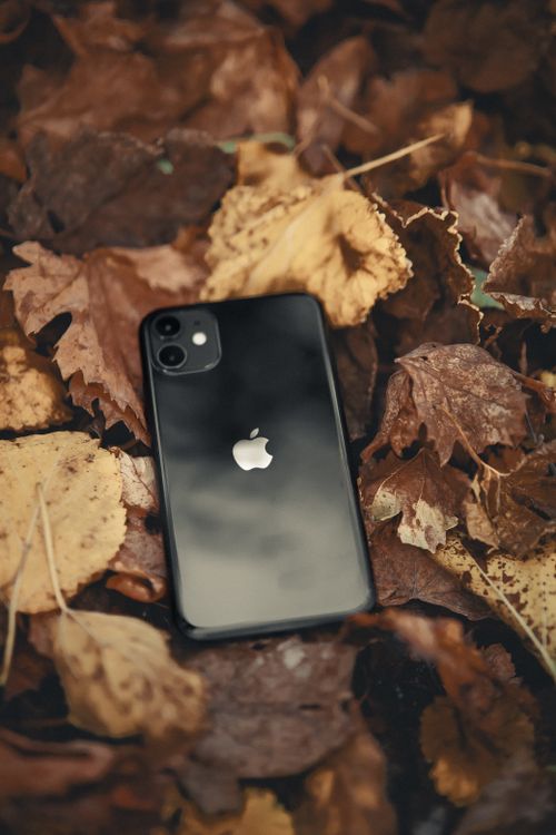 Free A sleek smartphone lying on a bed of vibrant autumn leaves, capturing the essence of fall's natural beauty. Stock Photo