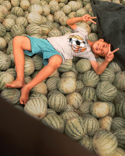 Free On the sea of Watermelon Stock Photo