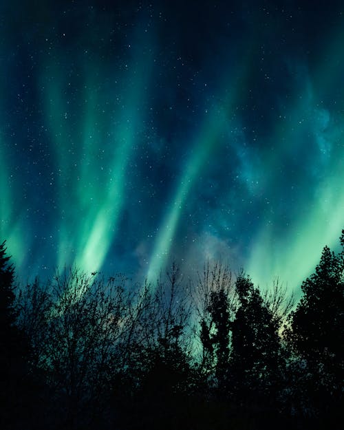北極光, 天性, 天空中的星星 的 免費圖庫相片