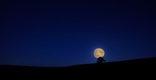 Foto profissional grátis de anoitecer, lua, lua cheia