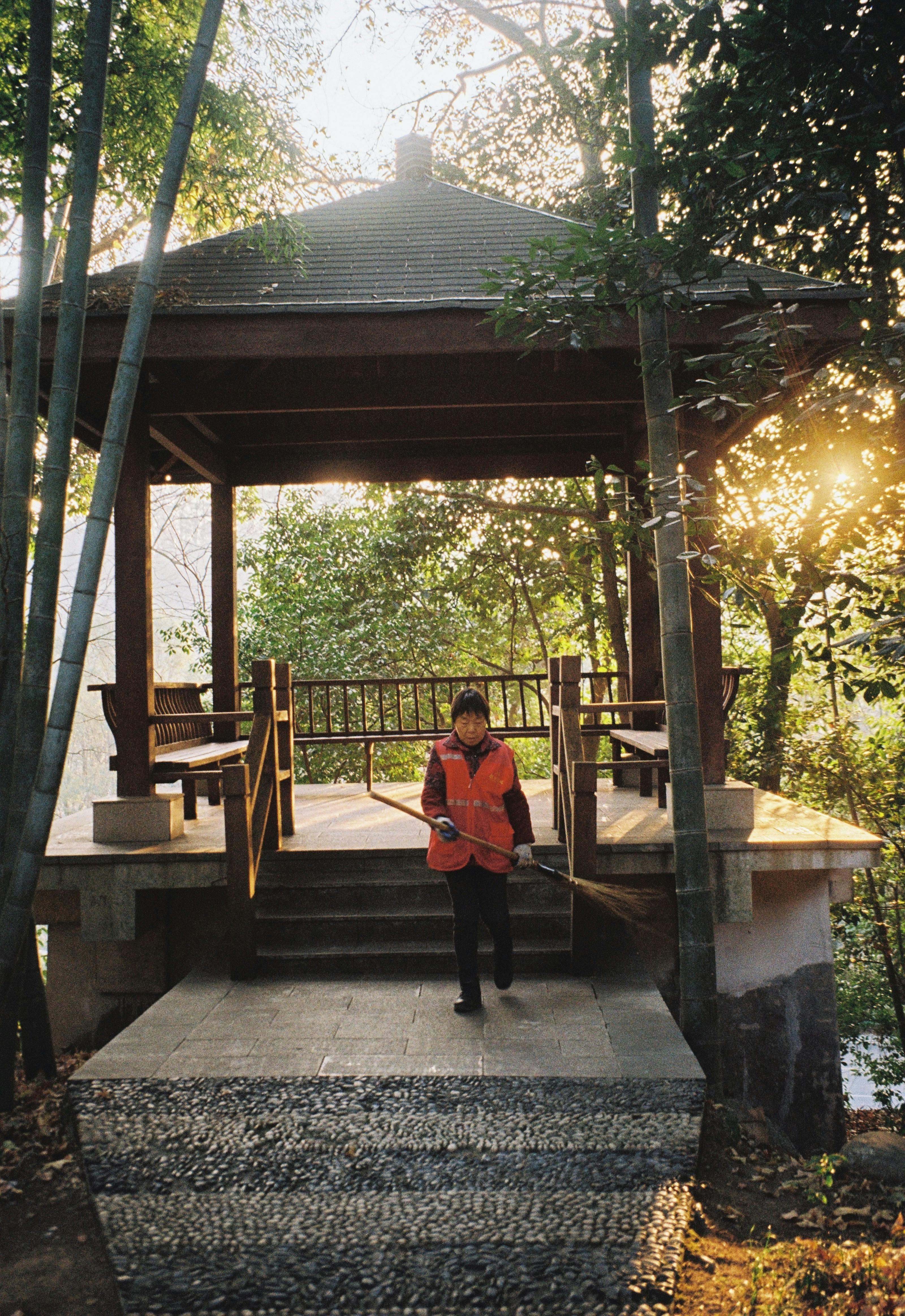 Sfaturi pentru curățarea și îngrijirea aleilor din curte