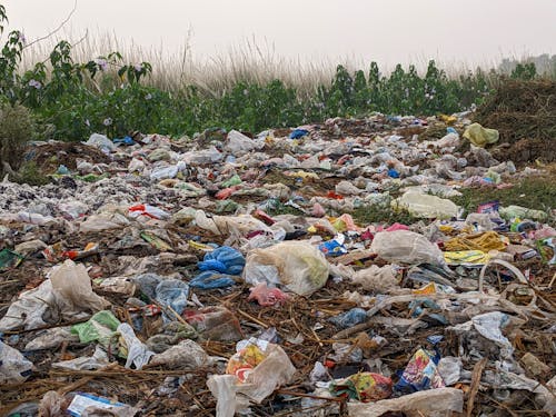 Field covered in Plastic Bags and other Trash