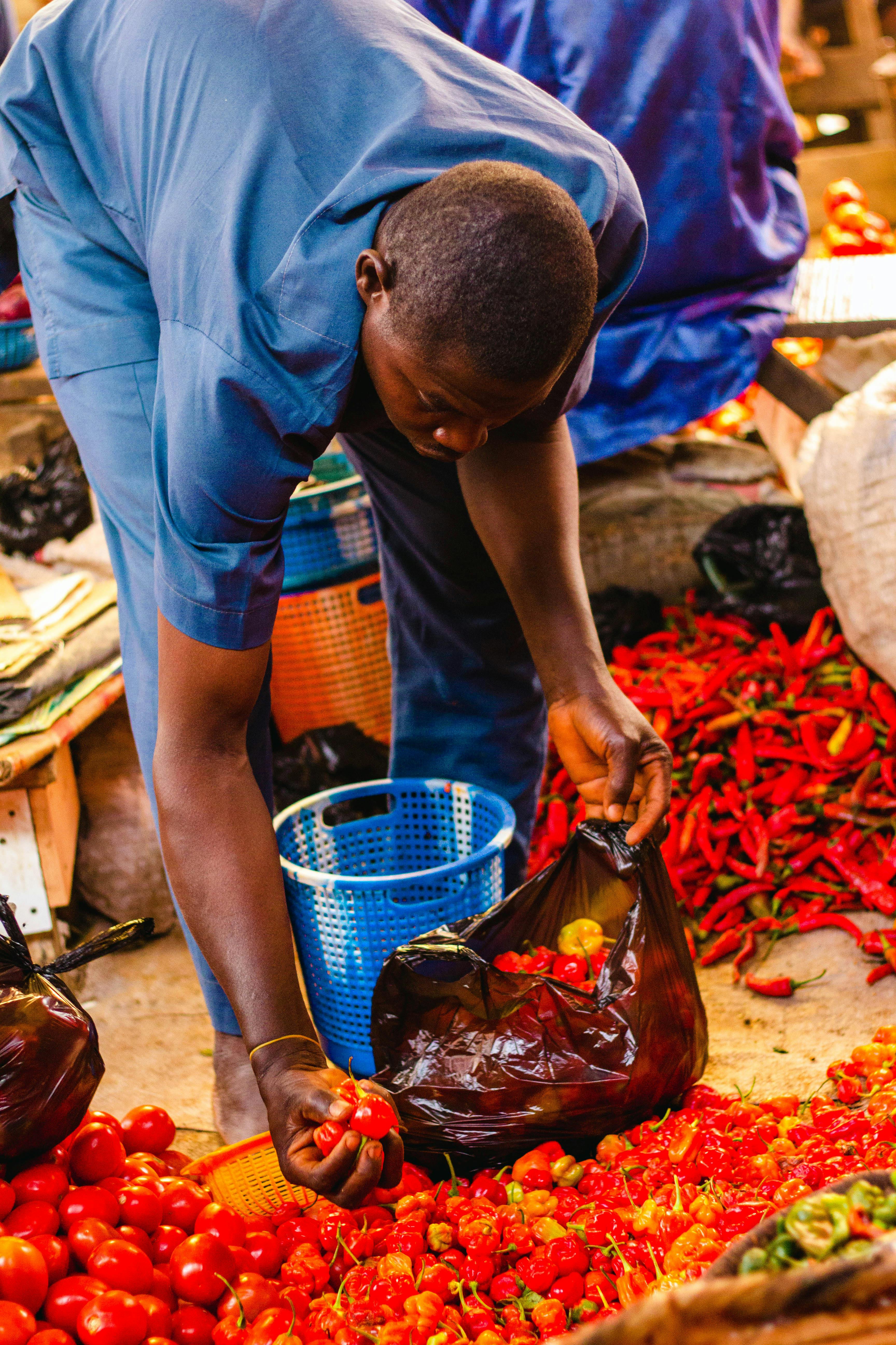 man picking up tomatoes in a market