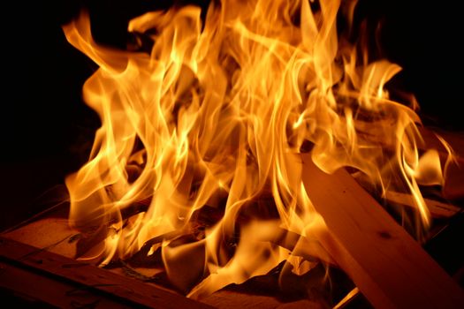 Close-up shot of vibrant flames dancing in a nighttime bonfire.