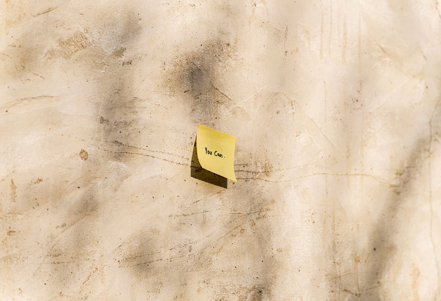 Wallpapering in Kentish Town — careful masking before painting begins