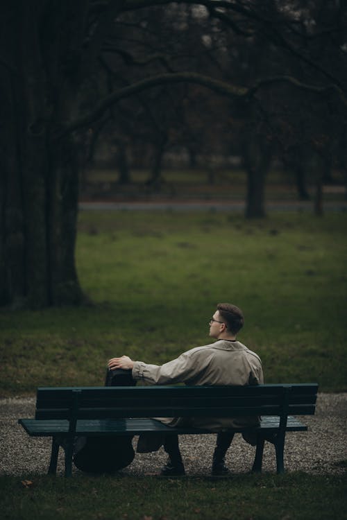 Fotobanka s bezplatnými fotkami na tému chodník, drevený, jeseň